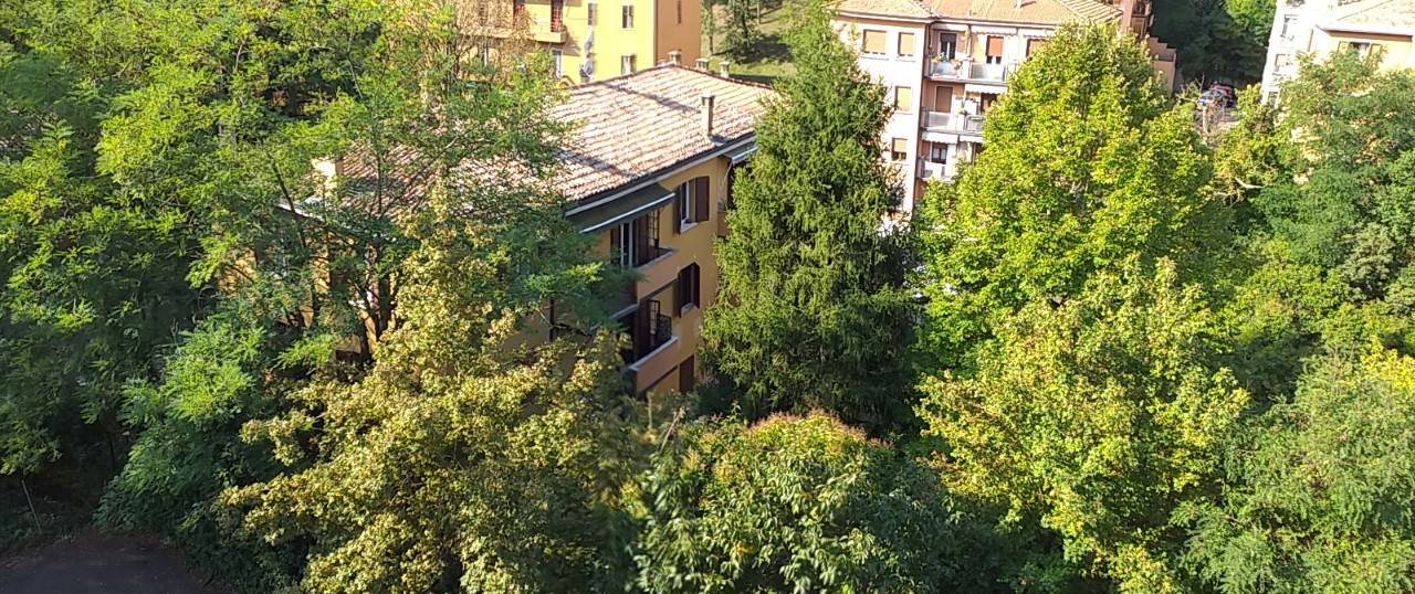 Appartamento in vendita a Colli San Mamolo, Bologna (BO)
