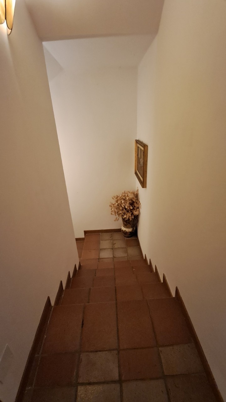 Casa indipendente in vendita a Bertinoro (FC)