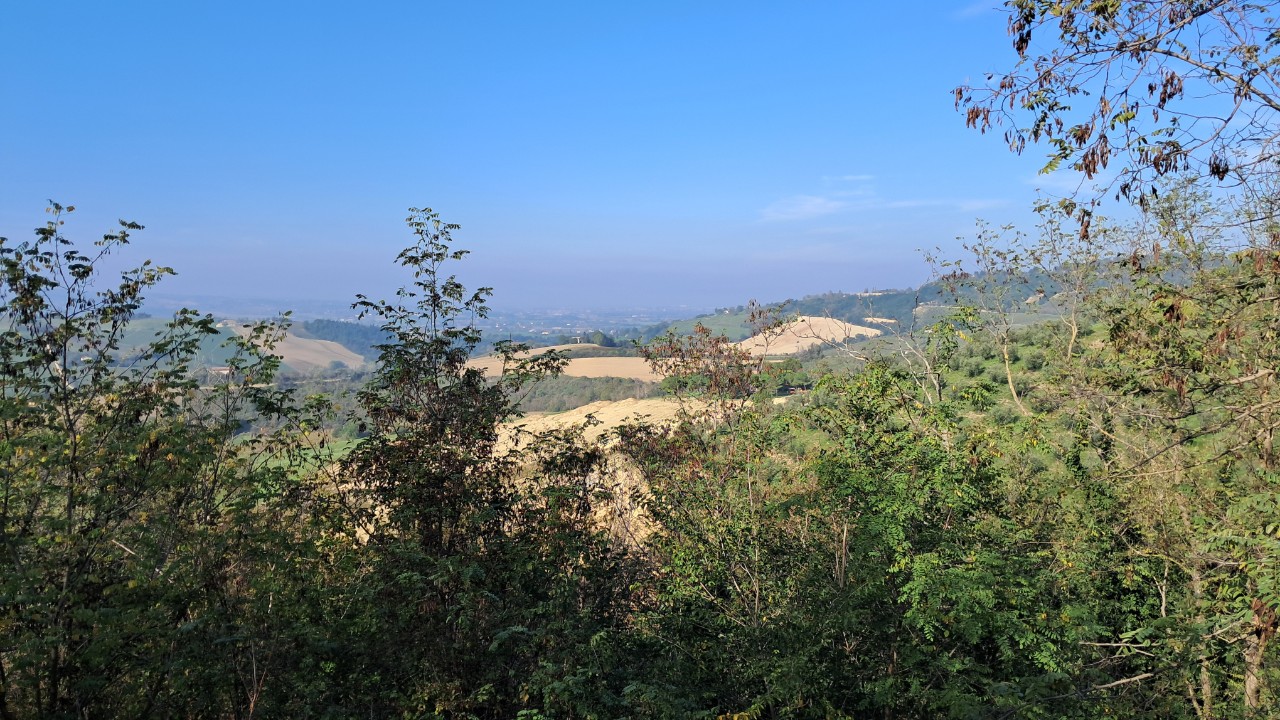 Casa indipendente in vendita a Bertinoro (FC)