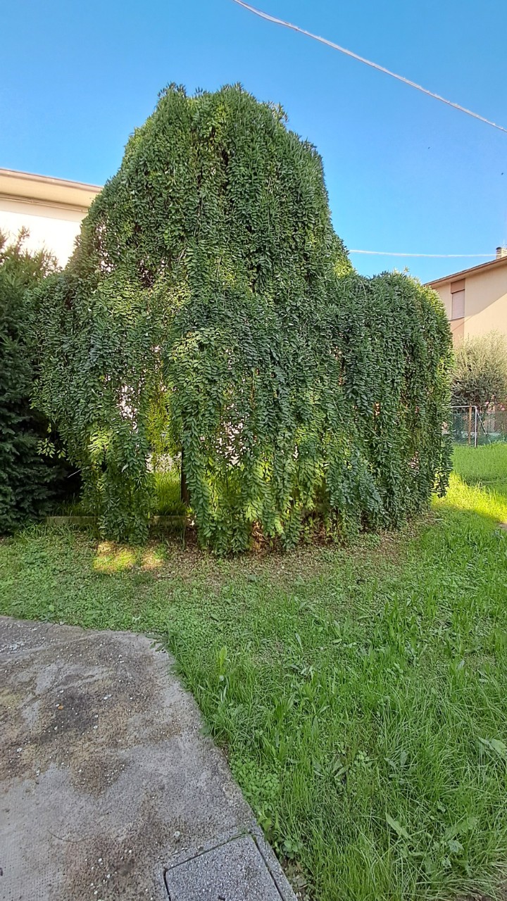 Casa indipendente in vendita a Forlì (FC)