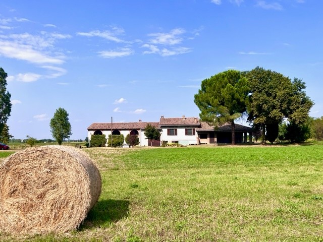 Villa in vendita a Montechiarugolo (PR)