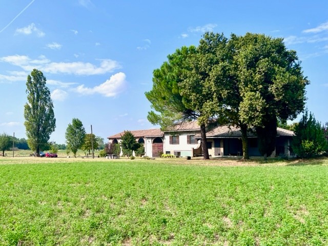 Villa in vendita a Montechiarugolo (PR)