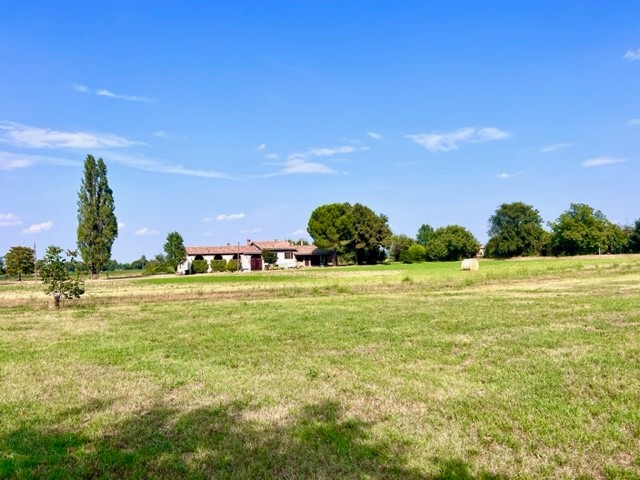 Villa in vendita a Montechiarugolo (PR)