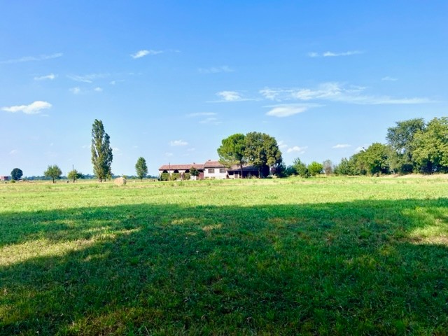 Villa in vendita a Montechiarugolo (PR)