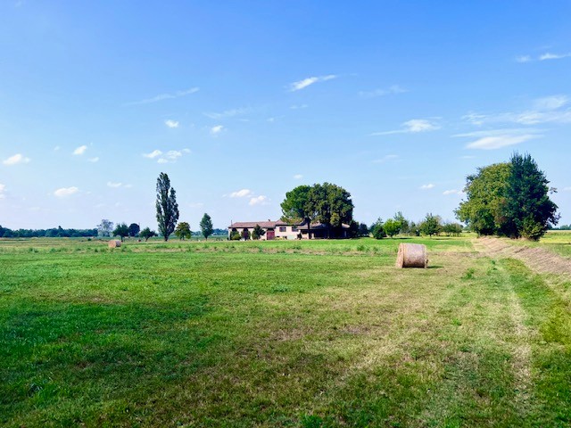 Villa in vendita a Montechiarugolo (PR)