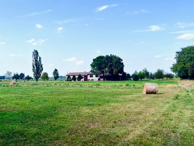 Villa in vendita a Montechiarugolo (PR)