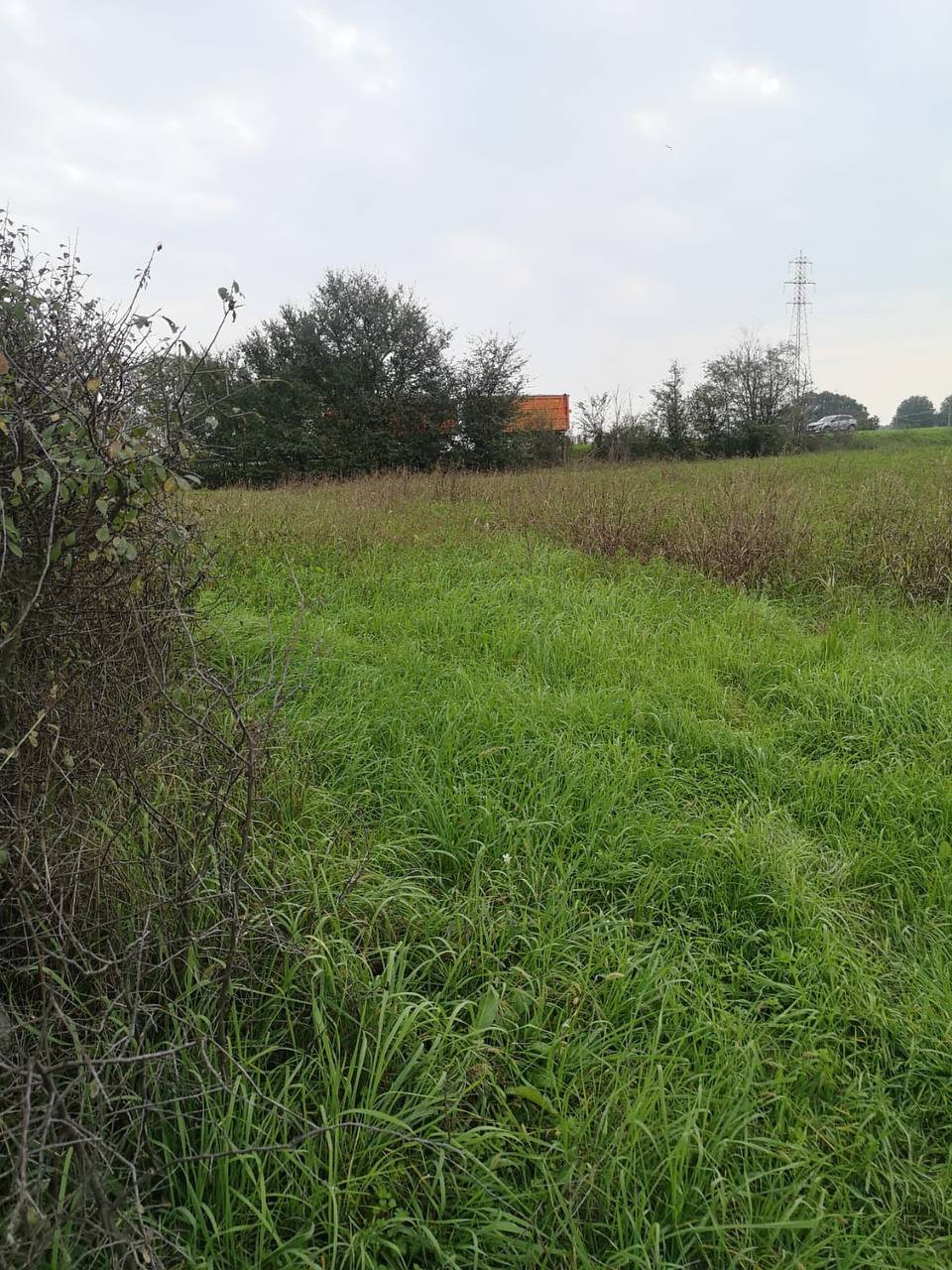 Terreno Agricolo in vendita Sant Ilario d Enza