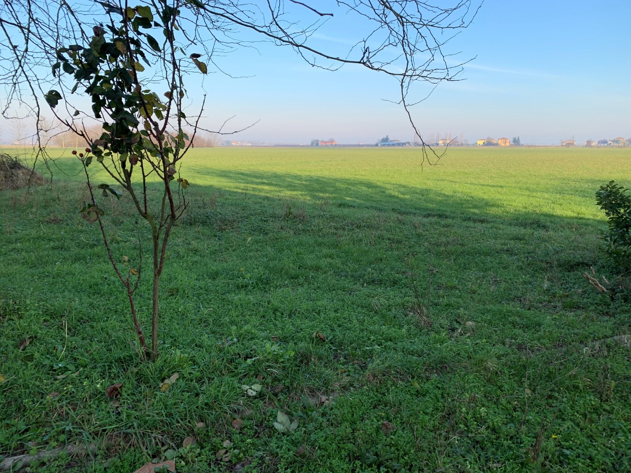 Rustico - Cascina BENTIVOGLIO vendita  Bentivoglio  IMMOBILIARE CASA FUTURA