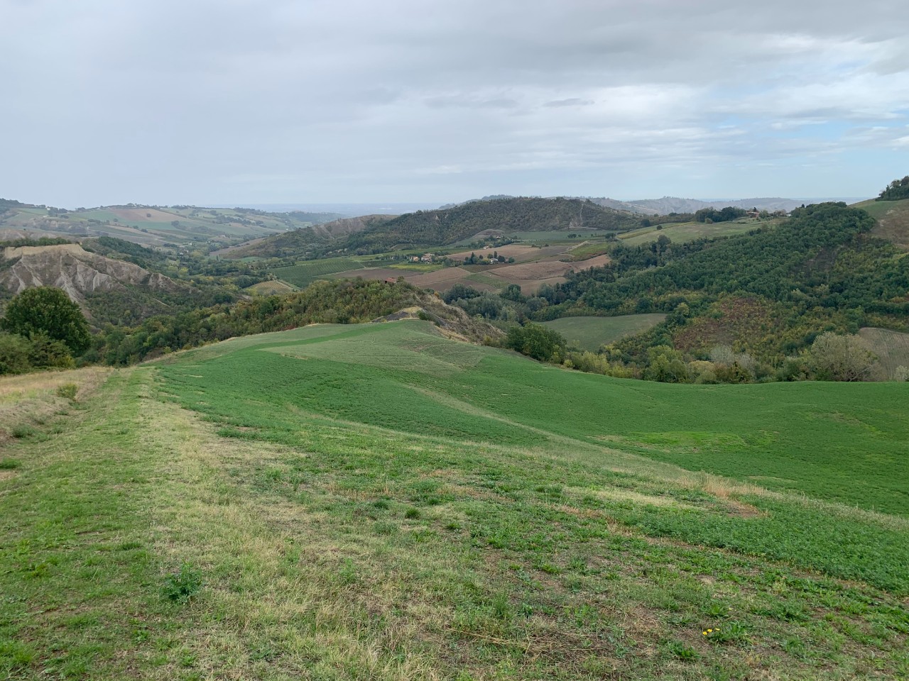 Rustico - Cascina CASALFIUMANESE vendita  Casalfiumanese  IMMOBILIARE CASA FUTURA