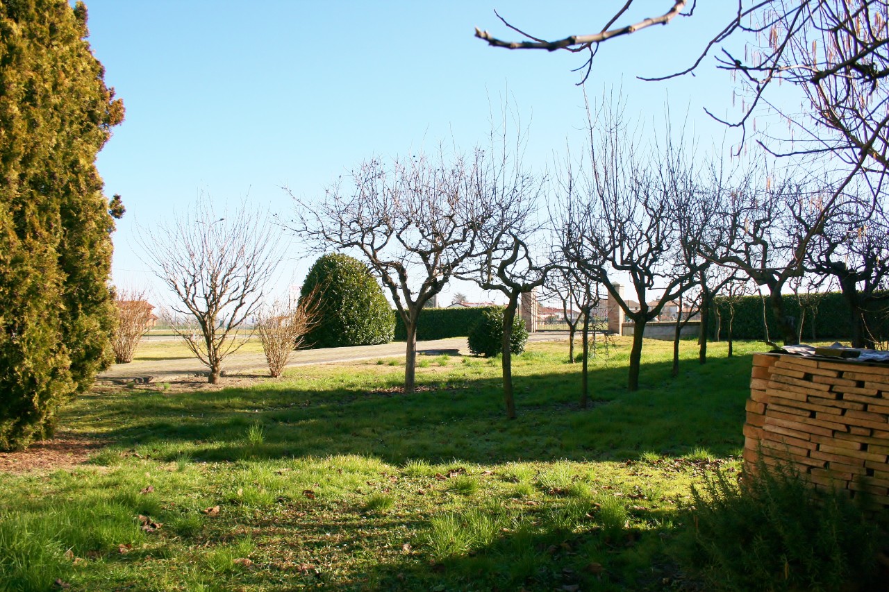 Appartamento ALBINEA vendita  Albinea  IMMOBILIARE DUE MAESTA